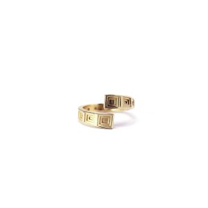 Anello pantheon oro 1